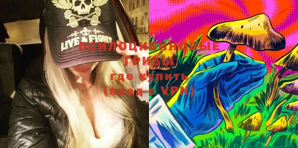 PSILOCYBIN Белоозёрский