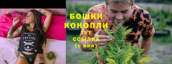 PSILOCYBIN Белоозёрский