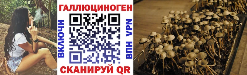 Псилоцибиновые грибы мухоморы  наркотики  Курчатов 